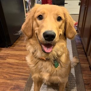 Meet your Posher, Karter